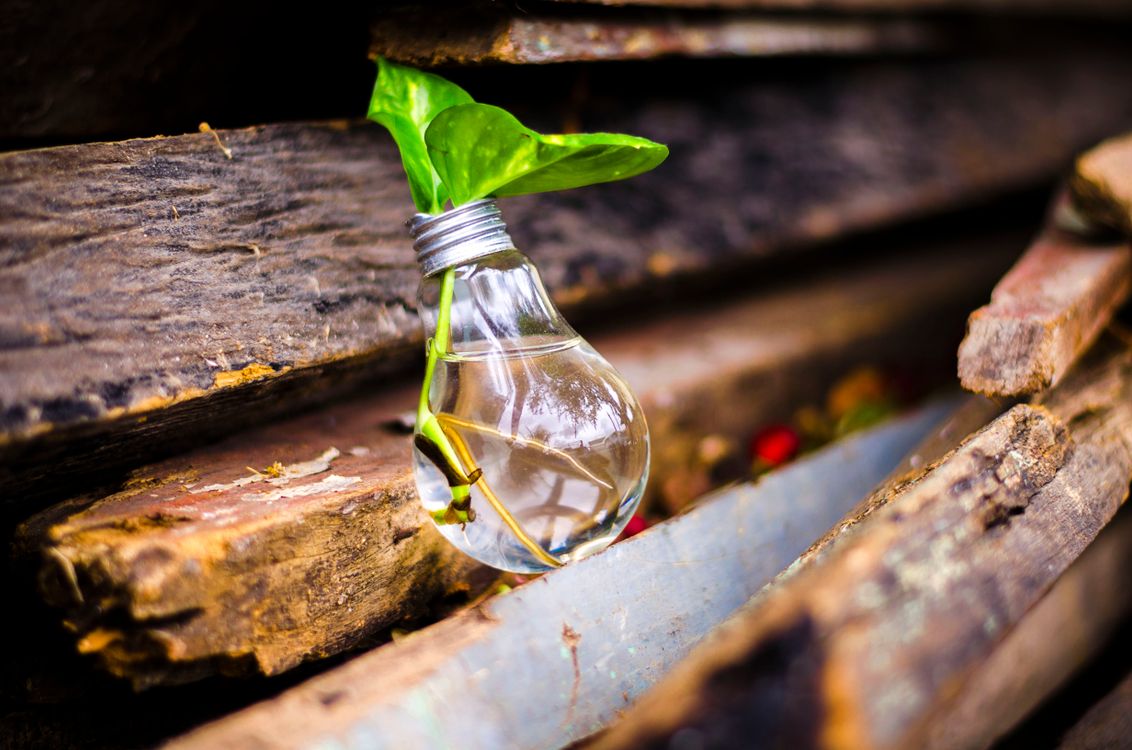 Is SEO Worth It for Small Businesses? An Honest, Numbers-First Answer — ToggleWeb guide